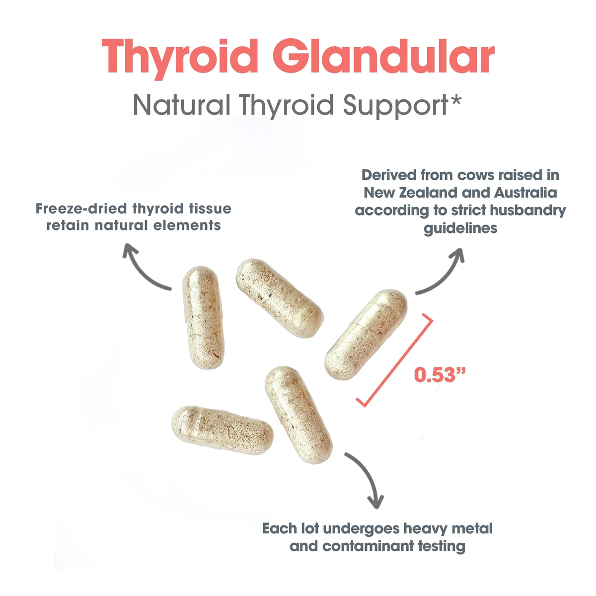 Thyroid Natural Glandular