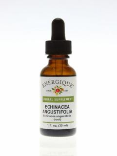 Energique ECHINACEA ANG Raw Tincture 2 oz 25% Herbal