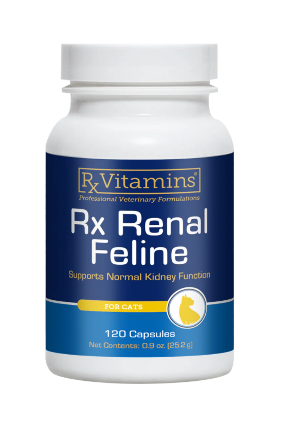 Rx Renal for Cats
